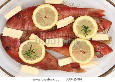 Raw Redfishes With Lemon Isolated
