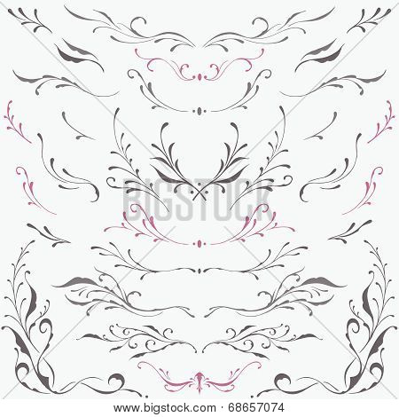 Floral frame and Border Ornaments