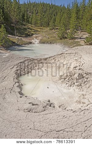 Hot Springs And A Mudpot In A Geothermal Area