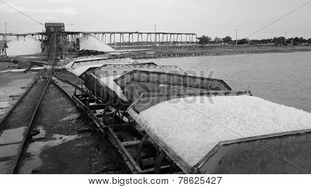 caribbean salt