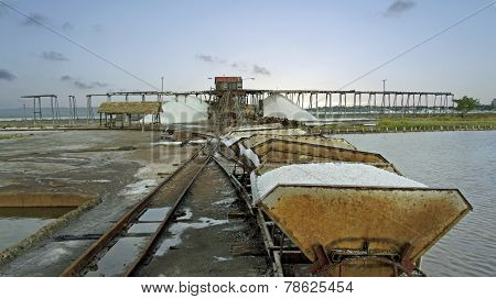 caribbean salt