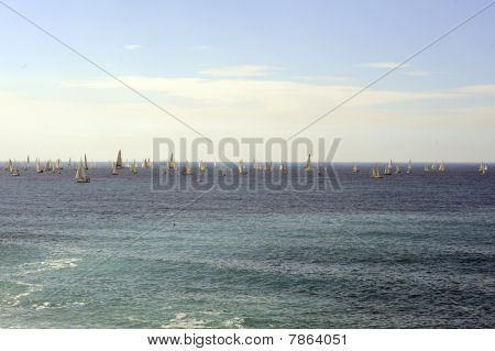Barcos