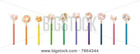 Bleistift-Blumen
