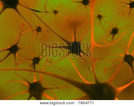 Neurons In The Brain