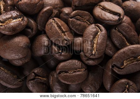 Guatemala Roasted Coffee Beans
