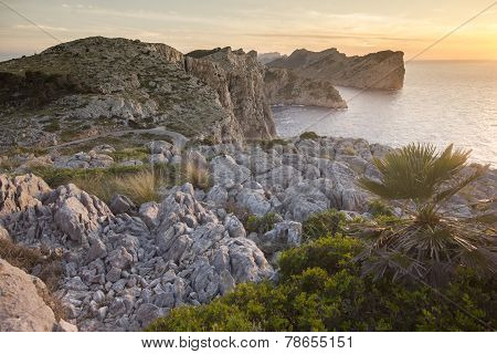 Cliffs Of Formentor Peninsula During Sunset