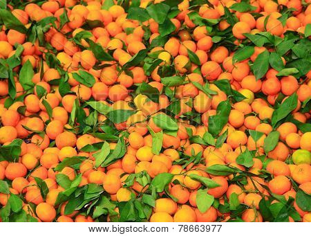 Tangerines