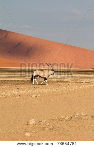 Sossusvlei Park, Namibia