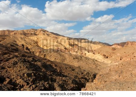 Stone woestijn landschap