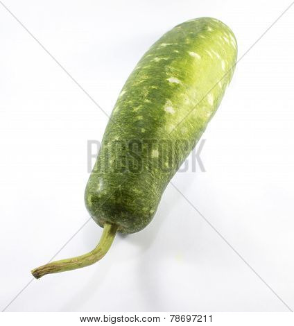 Green Gourd