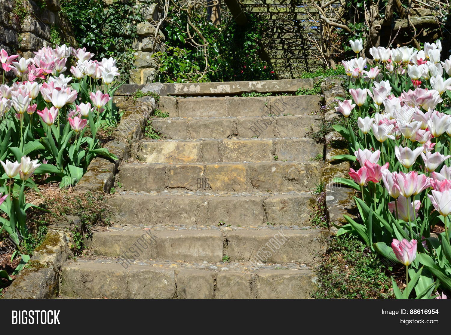 Stone Garden Steps Image Photo Free Trial Stock Stone Garden Steps With Flower S On Each Side Image Taken In Spring A English Formal
