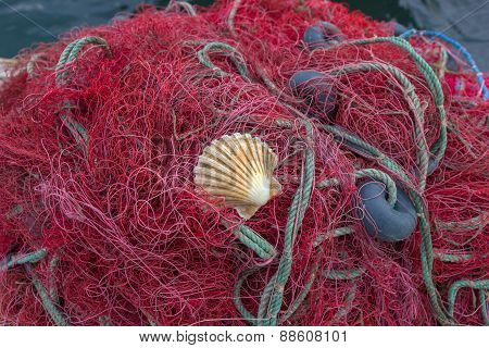 Fishing Nets With Shell