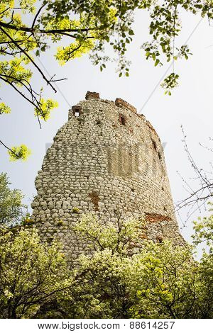 Romantic Ruin, Girls Castle In Palava, Czech