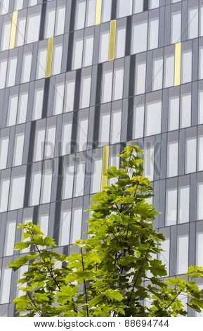 modern apartment building, symbol of housing, real estate, anonymity