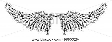 Wings