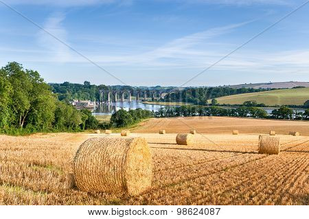 Summertime In Cornwall