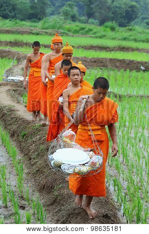 Offer Food To Monk
