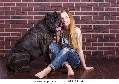 Girl Sitting Near Brick Wall Next To The Dog Cane Corso