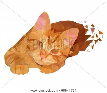 Polygon Illustration Of Colorful Red Cat