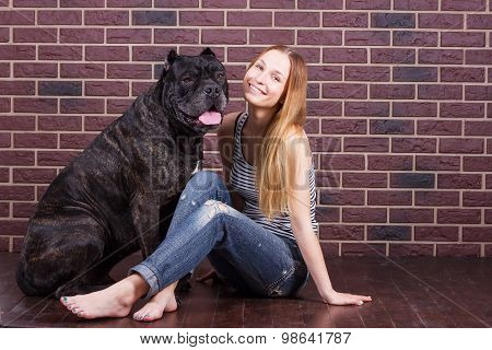 Girl Sitting Near Wall Next To The Dog Cane Corso And She Tilted Her Head