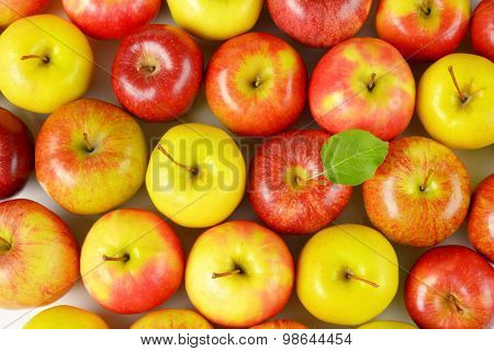 many red and yellow apples side by side