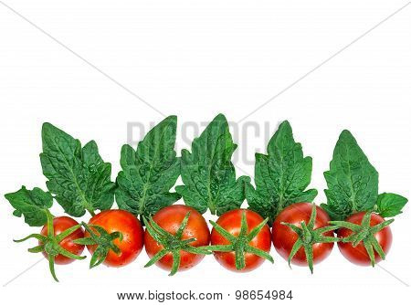 Fresh red tomatoes with leaves on white background