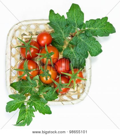 Fresh red tomatoes in basket on white background
