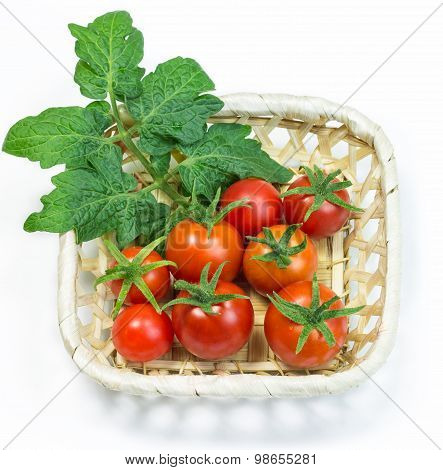 Fresh red tomatoes in basket on white background