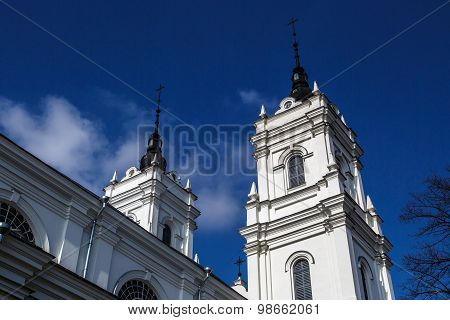 Catholic Cathedral In Ludza
