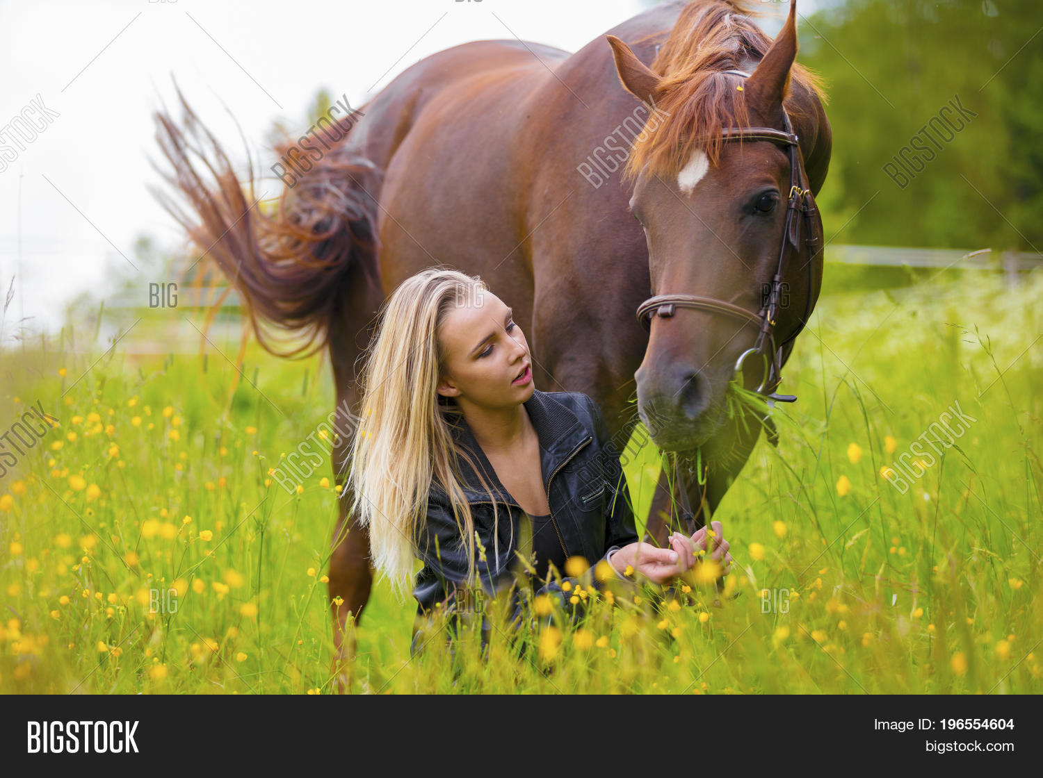 Картинка лицо лошади. Художественные фотографии любого жанра. Красивая девушка на ранчо. Лошадь любит человека. Девушка дал лошадь.