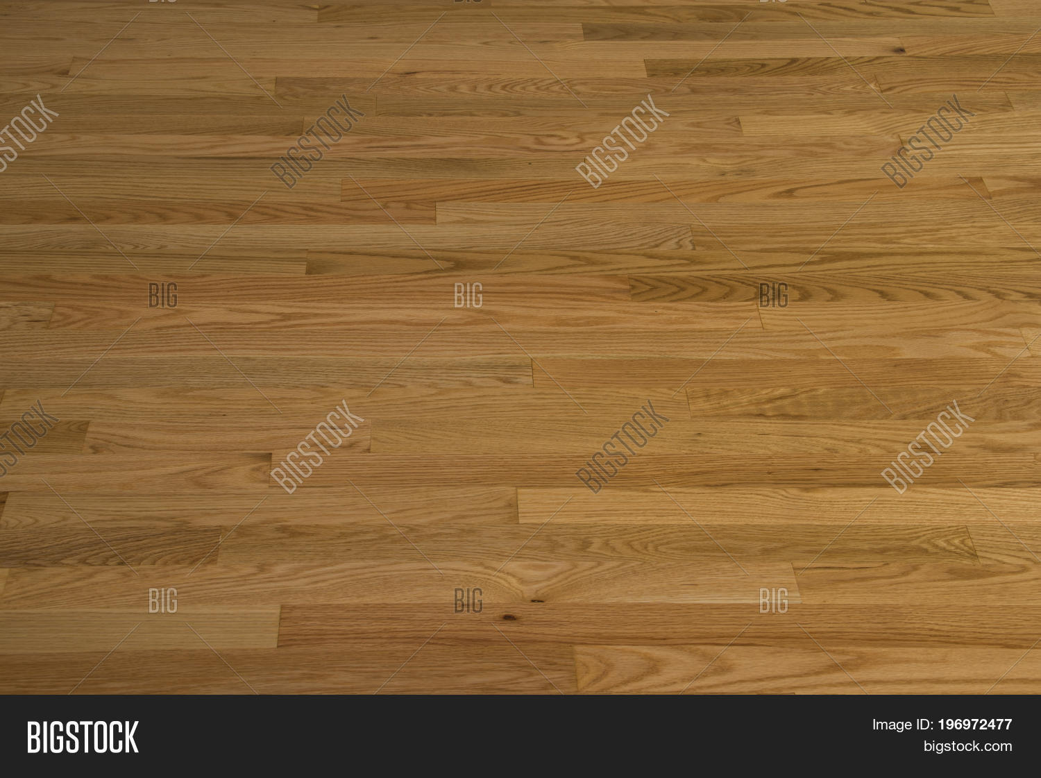 Hard Wood Flooring, Image & Photo (Free Trial) | Bigstock