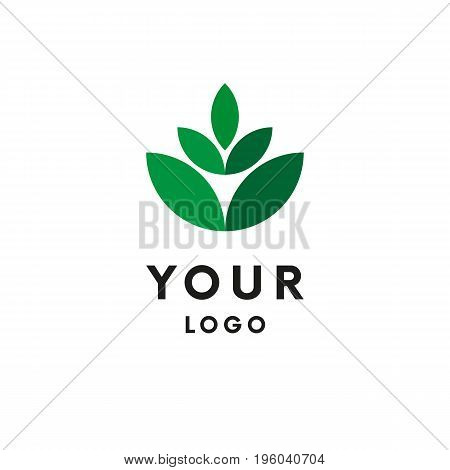 Green logo. Leafs logotype. Clean logo. Vector illustration.