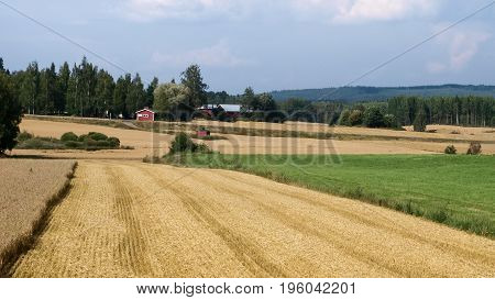 Harvested Fields near a Scandinavian farm village late summer