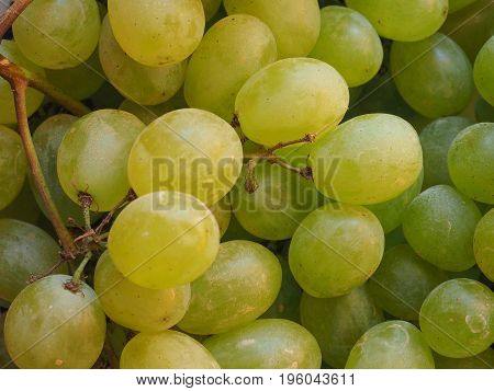 White Grape Fruit Food