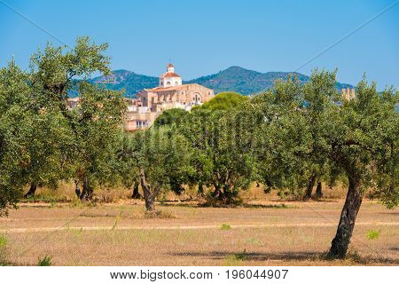 View Of Mont-roig Del Camp And The Church Of St. Miguel, Tarragona, Catalunya, Spain. Copy Space For