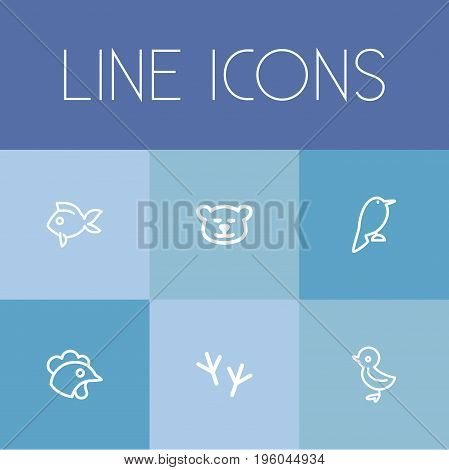 Set Of 6 Editable Animal Outline Icons. Includes Symbols Such As Bird Trace, Cockerel, Bird And More
