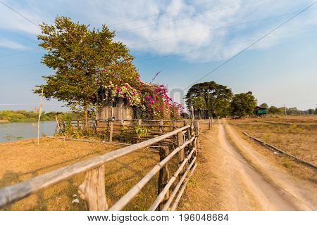 Dirt Path On Don Det