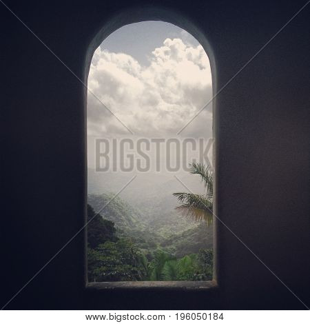 Rainy Tropical Rainforest seen through a window