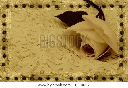 Rose Grunge 