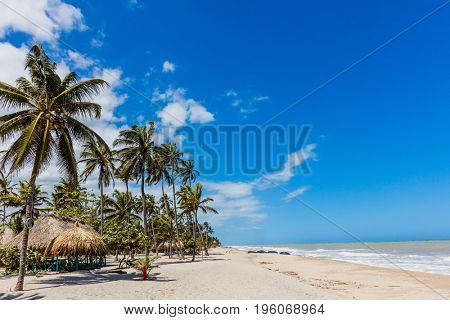 Palomino beach at La Guajira in Colombia South America