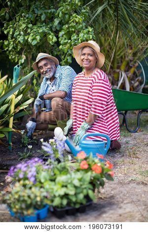 Portrait of smiling couple planting while gardening in yard