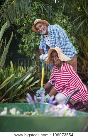 Portrait of happy senior couple gardening in yard