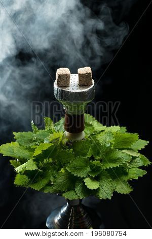 Mint smoking hookah with leafs on black background
