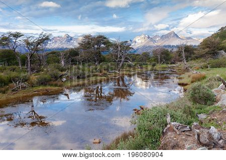 Tierra del Fuego National Park Ushuaia Patagonia Argentina