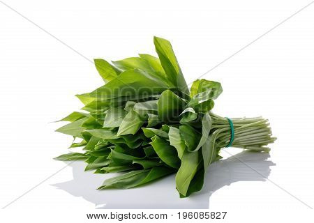 Bunch of ramson leaves. Wild garlic isolated on white.