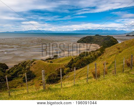 View Over Grassland With Flowers At Puponga Bay, South Island, New Zealand