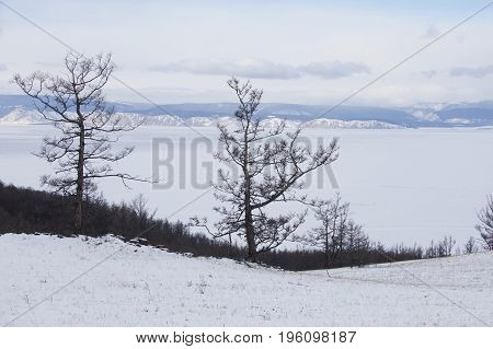 View Of Lake Baikal. Olkhon Island Winter Landscape