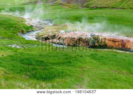 Colorfull Moss By A Srteam In Hveragerdi
