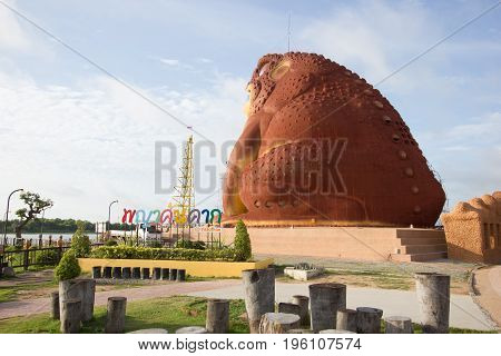 YASOTHON THAILAND - JULY 9 : back of toad museum at Phaya Thaen Public Park on July 9 2017 in Yasothon Thailand. Big Statue toad is landmark travel in yasothon