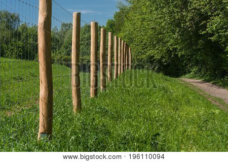 Fence of a pasture for horses or cows